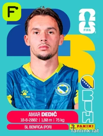 BIH 3 Amer Dedic