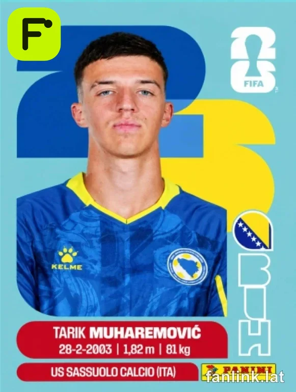 BIH 5 Tarik Muharemovic
