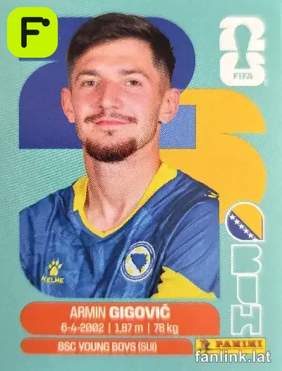 BIH 10 Armin Gigovic