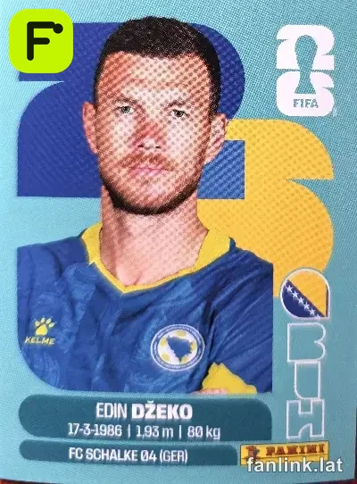 BIH 18 Edin Dzeko