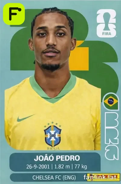 BRA 16 João Pedro