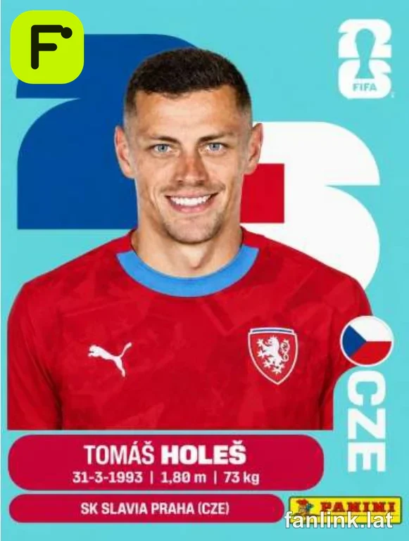 CZE 7 Tomas Holes
