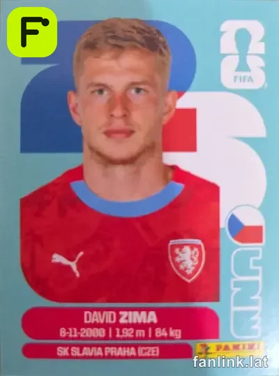CZE 8 David Zima