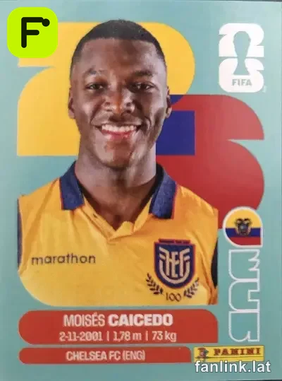 ECU 9 Moises Caicedo
