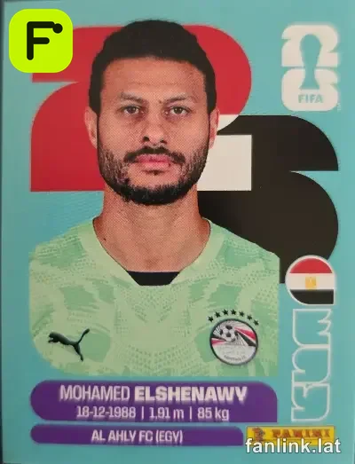 EGY 2 Mohamed El Shenawy