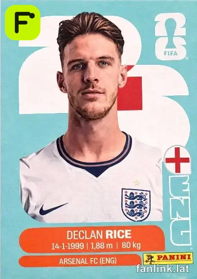 ENG 10 Declan Rice