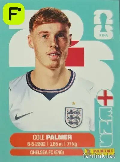 ENG 12 Cole Palmer