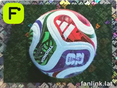 FWC 5 Bola Oficial