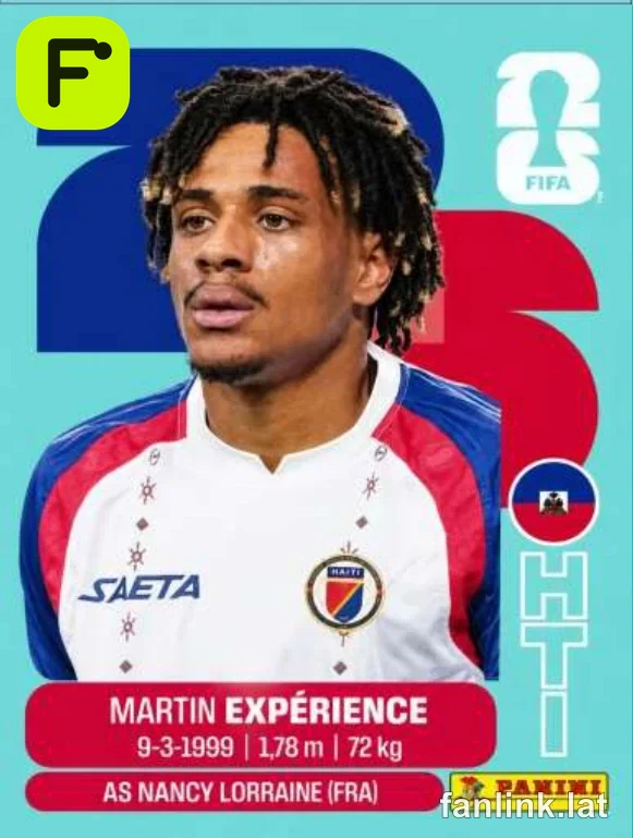 HAI 4 Martin Expérience