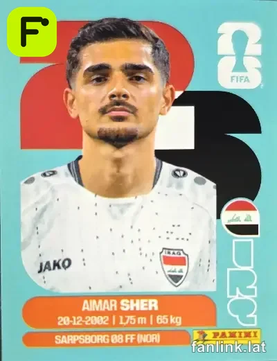 IRQ 15 Aimar Sher