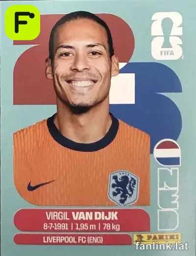 NED 3 Virgil van Dijk