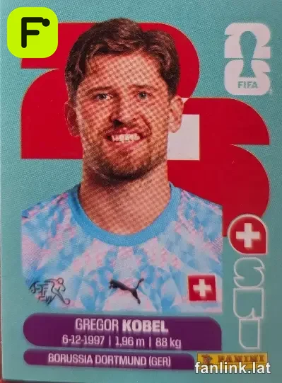 SUI 2 Gregor Kobel