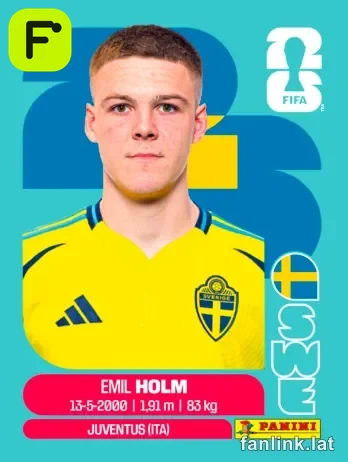 SWE 5 Emil Holm