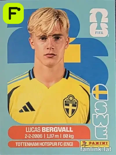 SWE 8 Lucas Bergvall